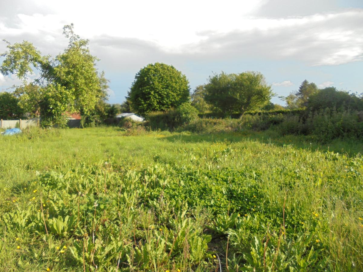 Terrain à Bouvigny-Boyeffles