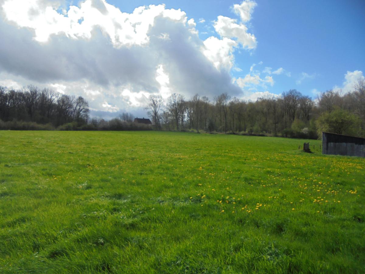 Terrain à Calonne-Ricouart